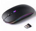 Souris