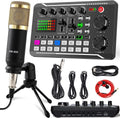 Microphone professionnel